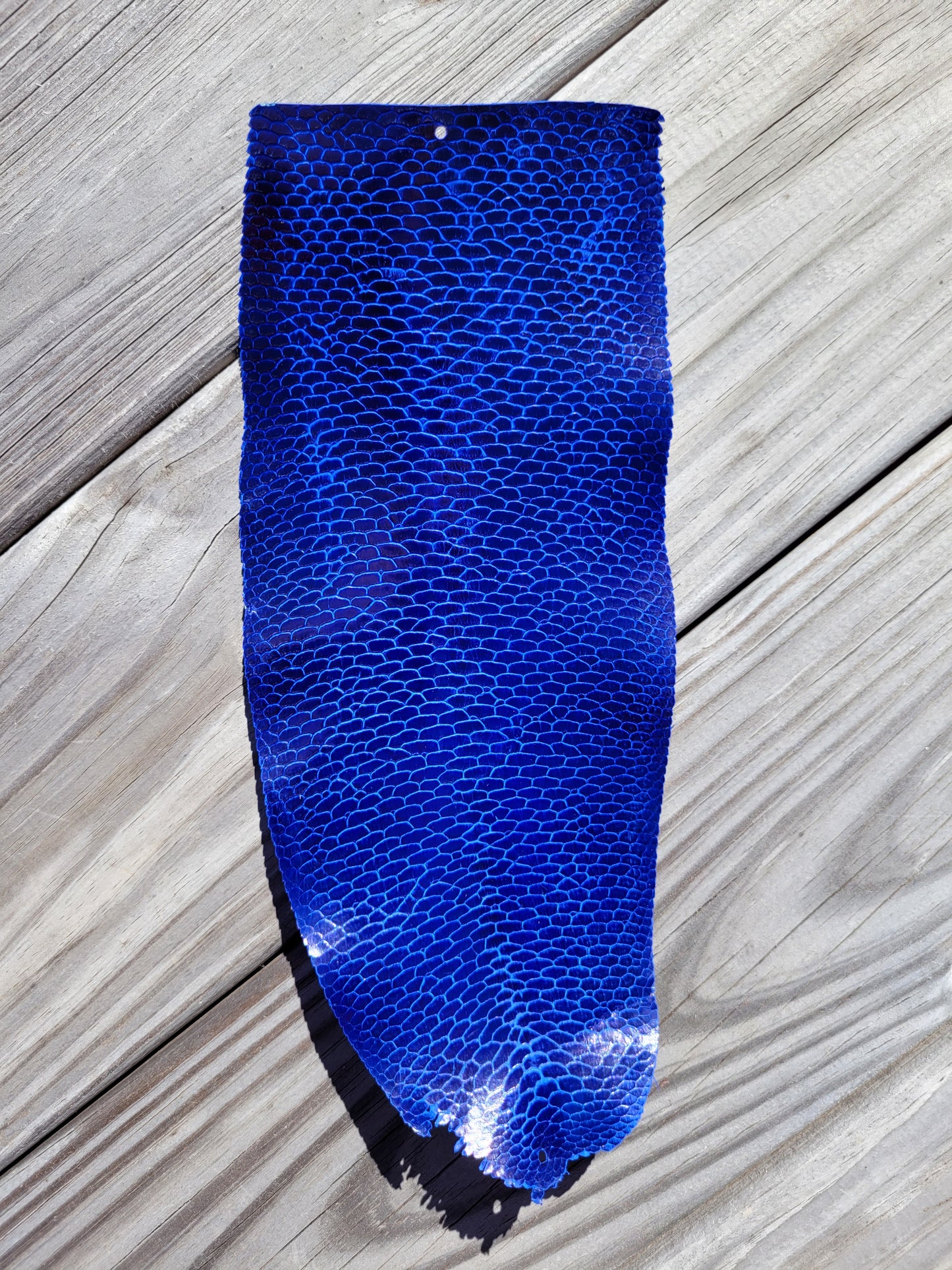 Beaver Tail - Electric Blue (Glazed)