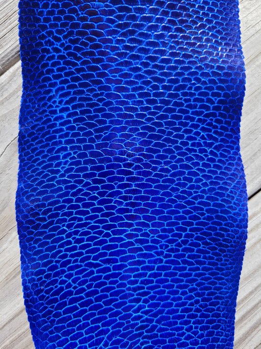Beaver Tail - Electric Blue (Glazed)
