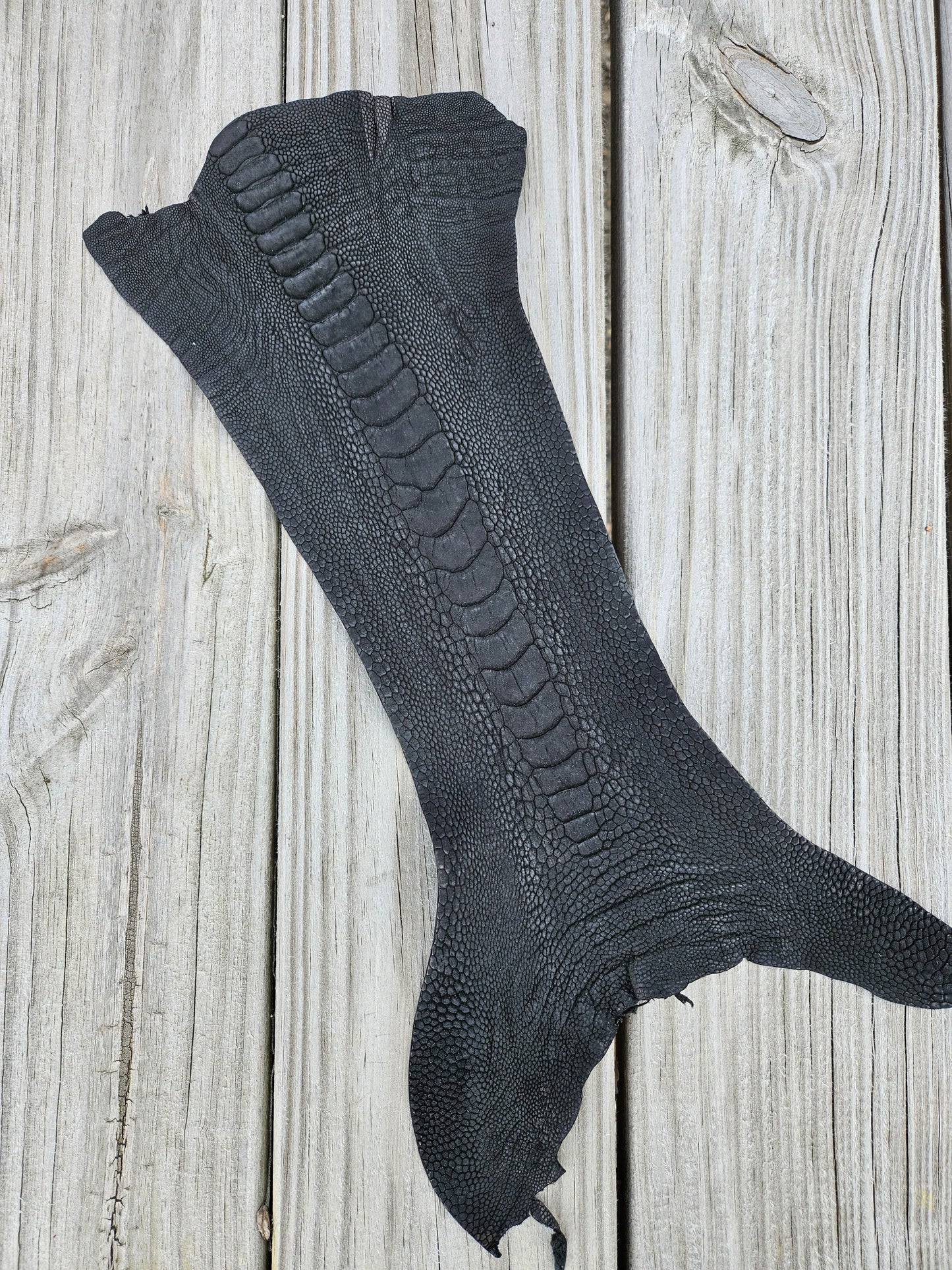 Ostrich Leg - Black Nubuck (Grade 1)