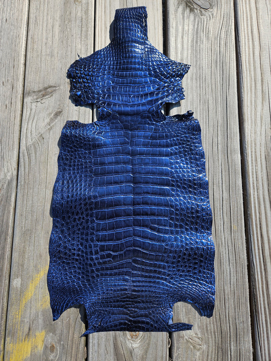 Alligator Skin - 27cm (belly only) - Grade 2 Metallic Blue