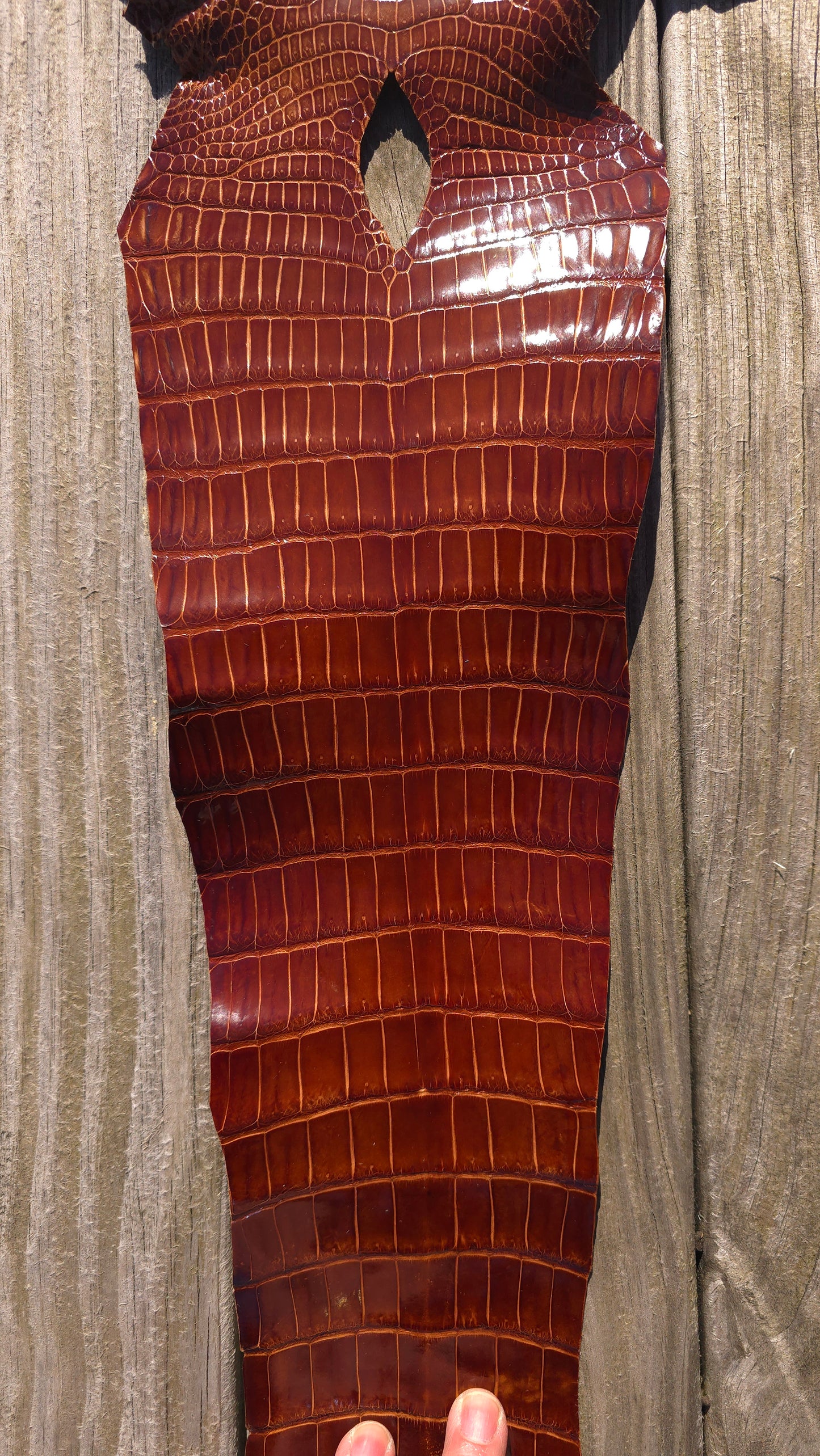 Crocodile Leather (Farm Raised) - Cognac (29cm / Grade 1/2 / Glazed)