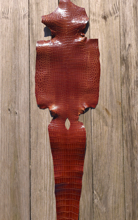 Crocodile Leather (Farm Raised) - Cognac (29cm / Grade 1/2 / Glazed)