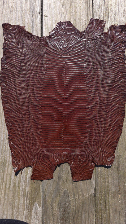 Lizard - Chocolate Brown (Millenium)