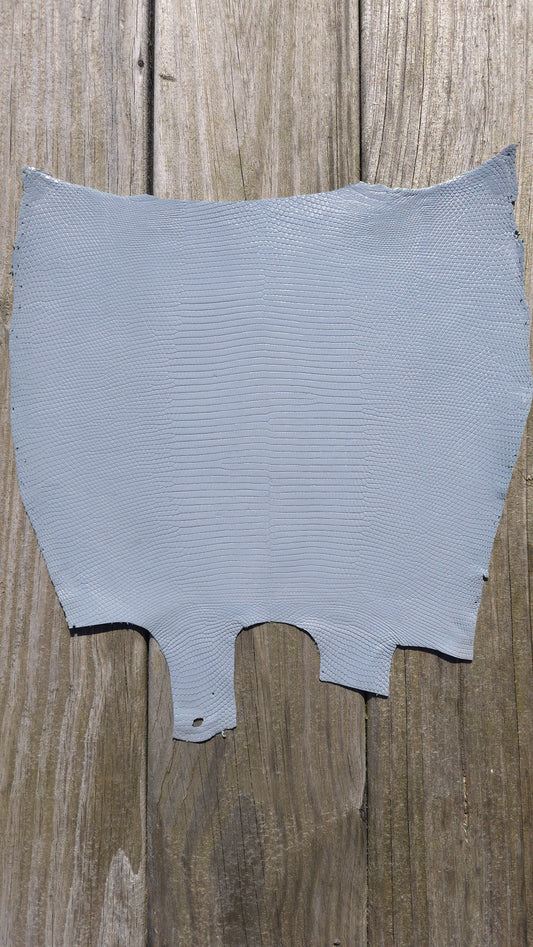 Lizard - Glacier Grey (Millenium)