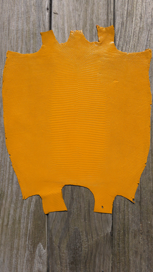 Lizard - Yellow (Millenium)