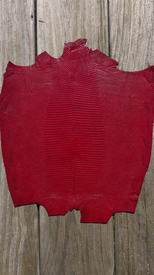 Lizard - Red ( Millenium)