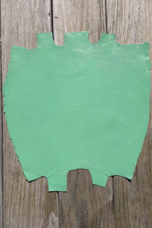 Lizard - Mint Green (Millenium)