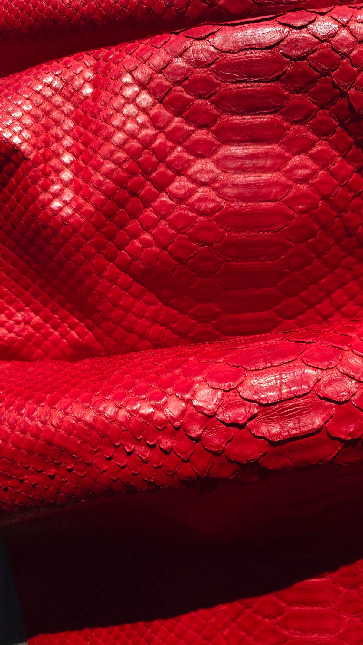 Red Python Leather Swatch Python - Deep Red (Matte) – Canadian Exotic Leather