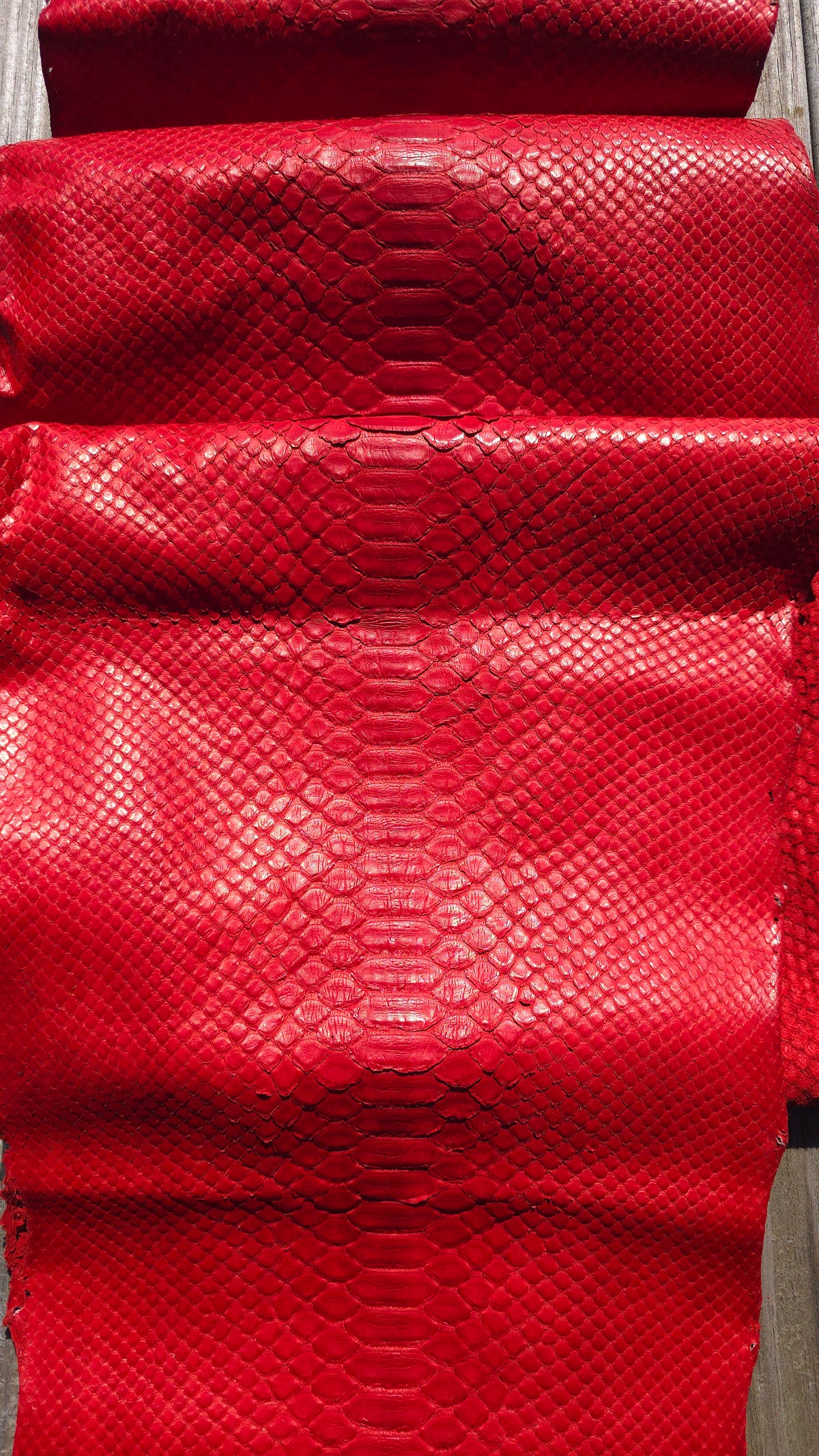 Red Python Leather Swatch Python - Deep Red (Matte) – Canadian Exotic Leather