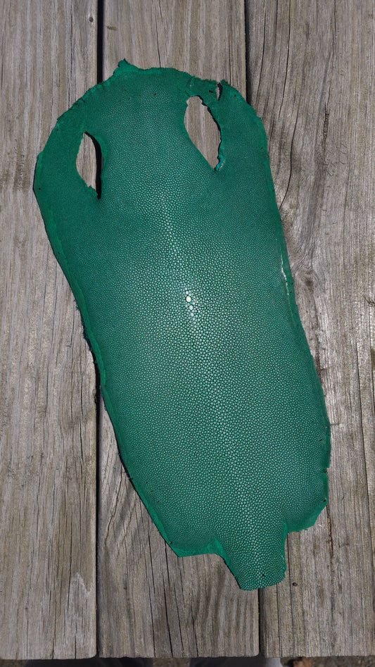 Stingray Leather - Green Polished