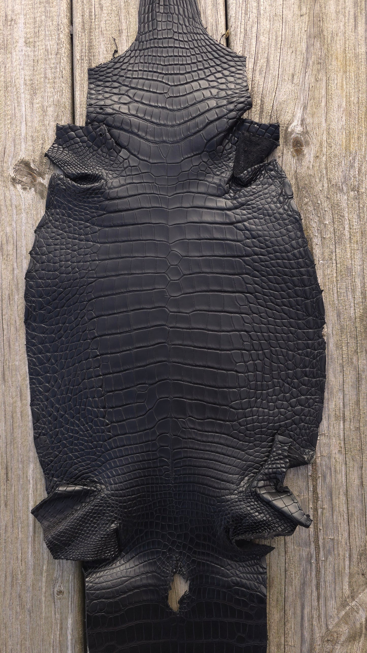 Alligator Leather (Farm Raised) - Black (24cm / Grade 1/2 / Matte)
