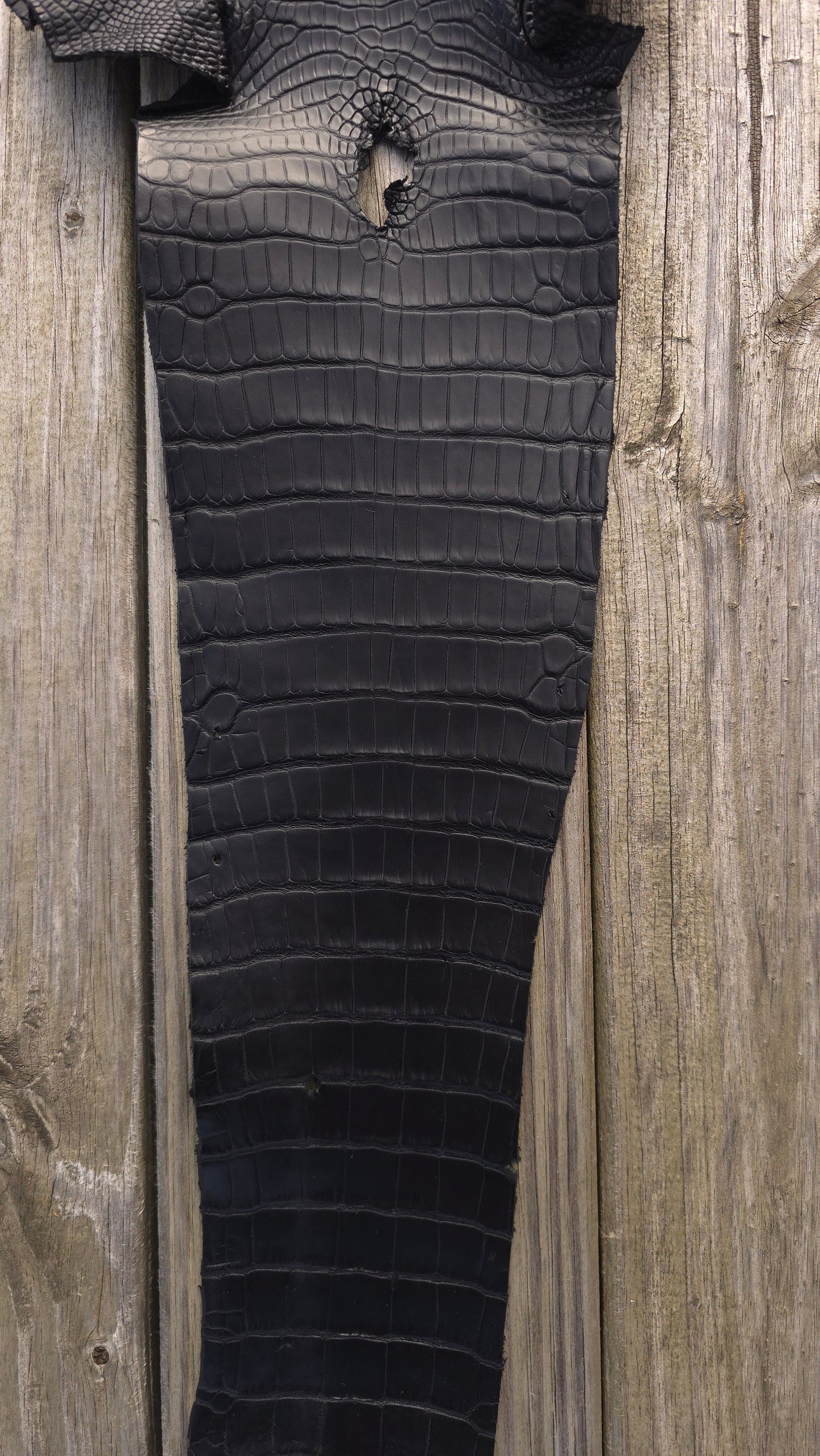 Alligator Leather (Farm Raised) - Black (24cm / Grade 1/2 / Matte)