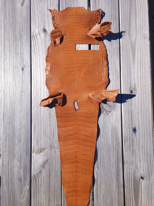 Alligator Skin - 26cm- Grade 2 Golden Brown (Matte)