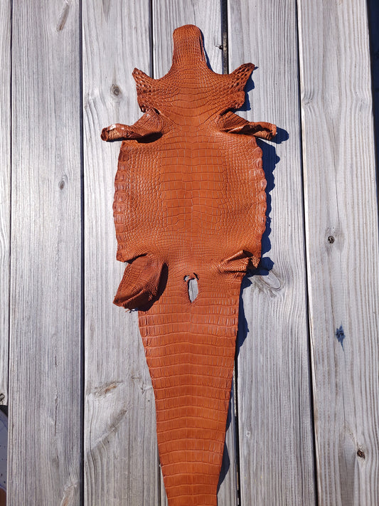 Alligator Skin - 25cm  Grade 1/2 Cognac (Matte)
