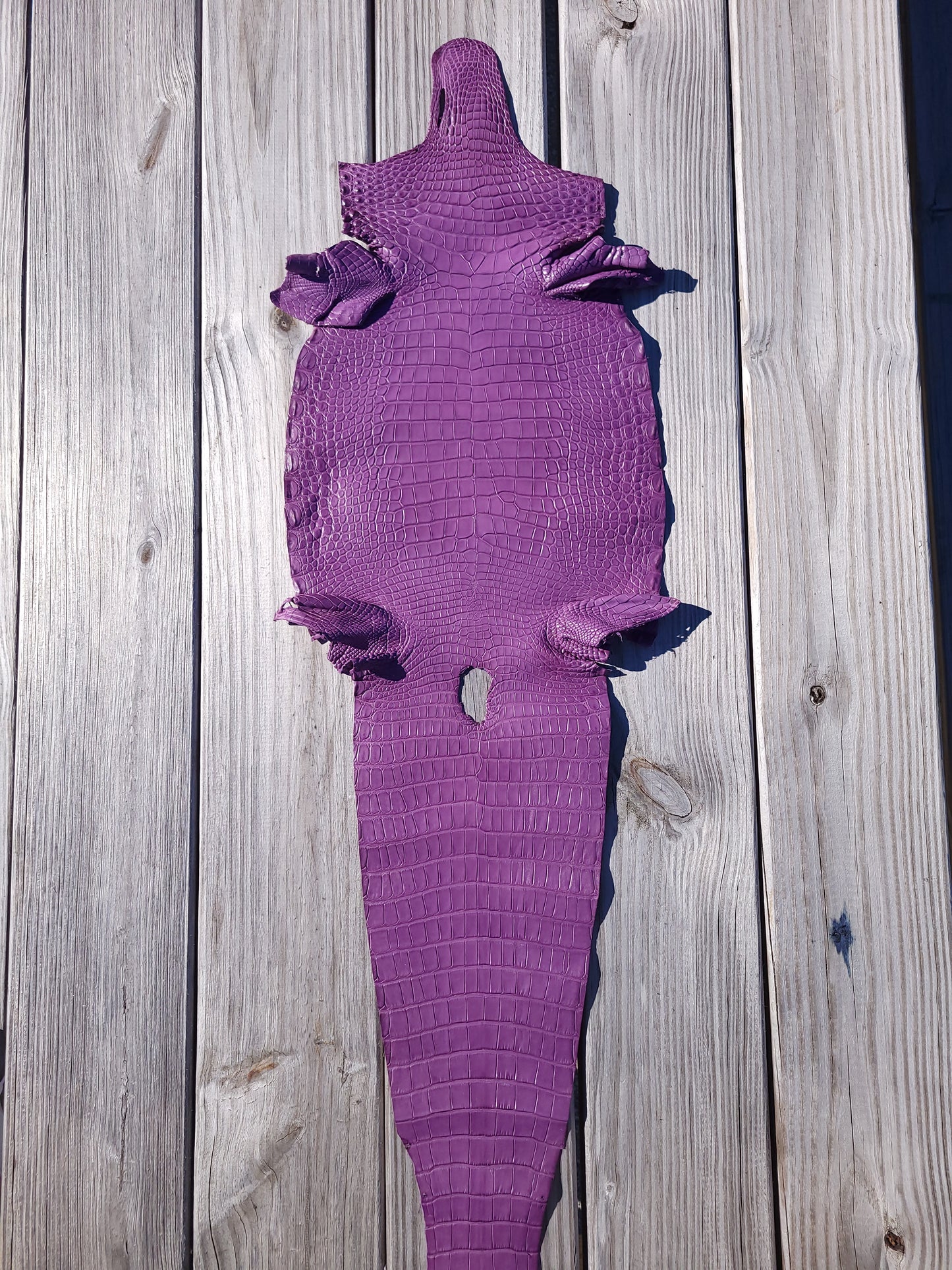 American Alligator -26cm-Grade 1/2 Lavendar Purple (Matte)