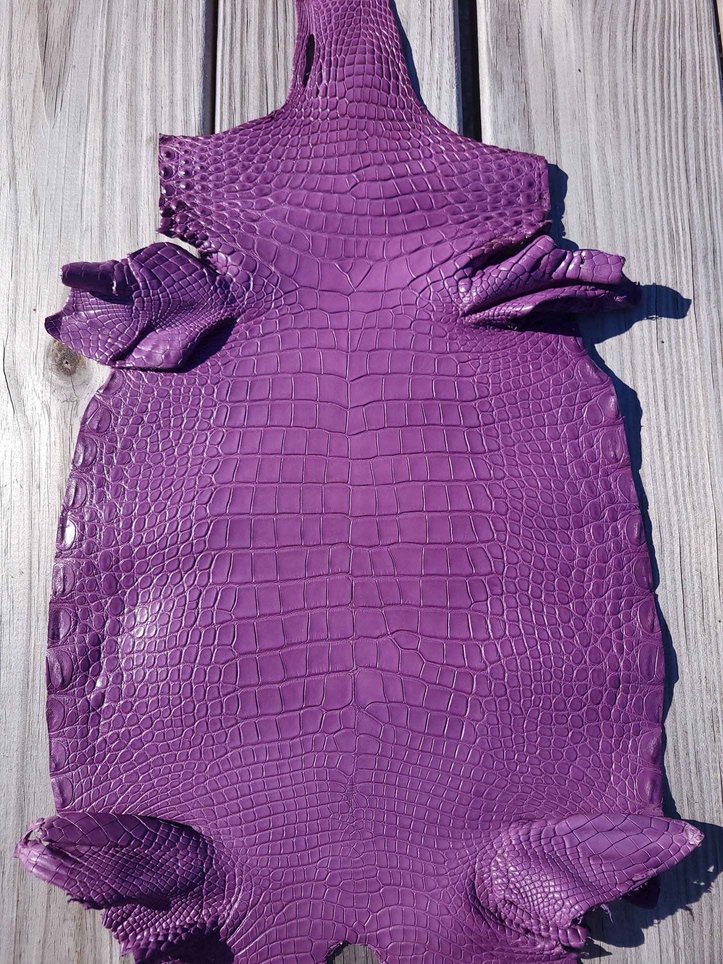 American Alligator -26cm-Grade 1/2 Lavendar Purple (Matte)