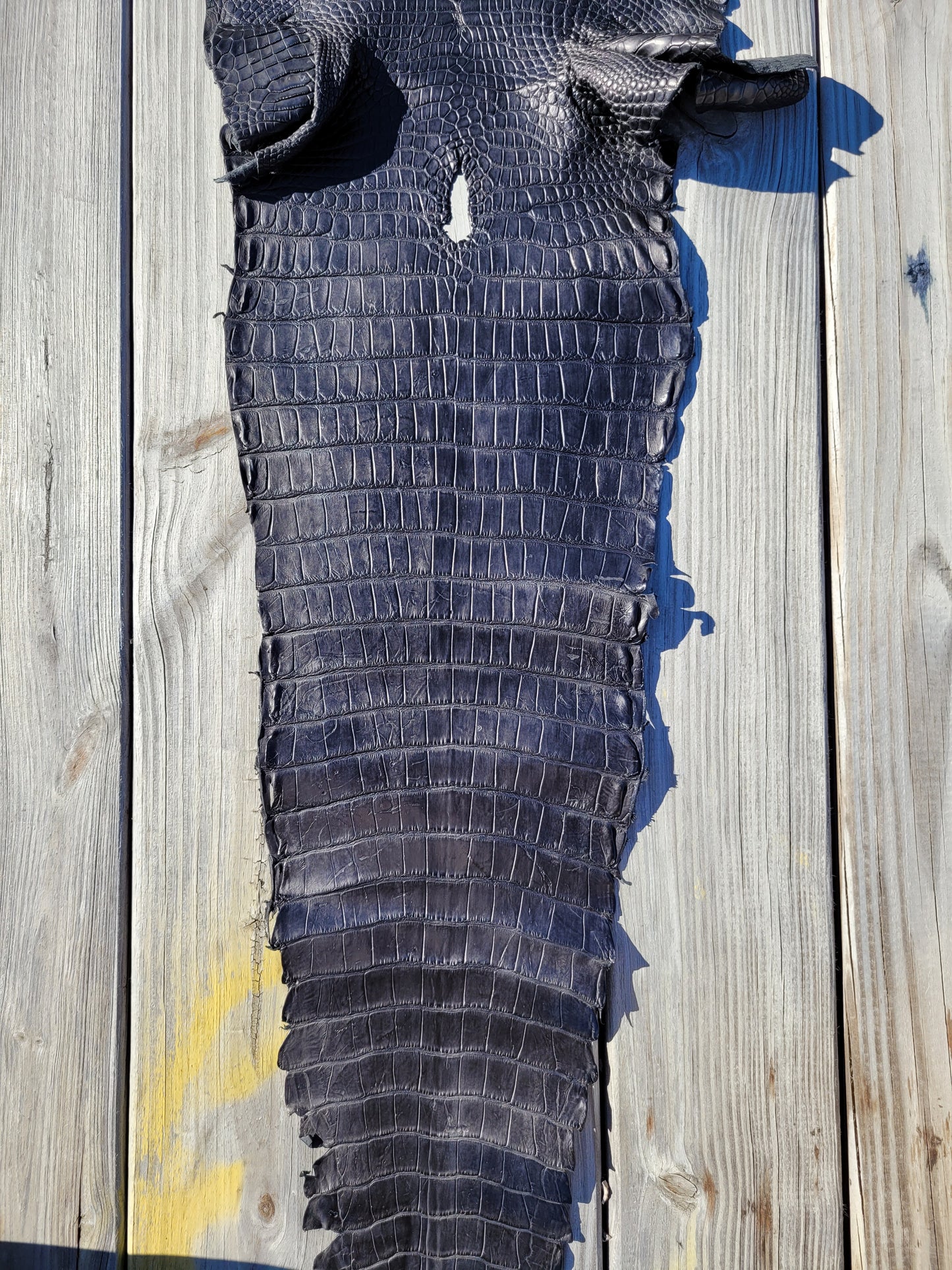 Alligator Skin - 32cm- Grade 2/3 Black (Matte)