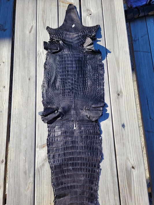 Alligator Skin - 33cm- Grade 3 Black (Matte)