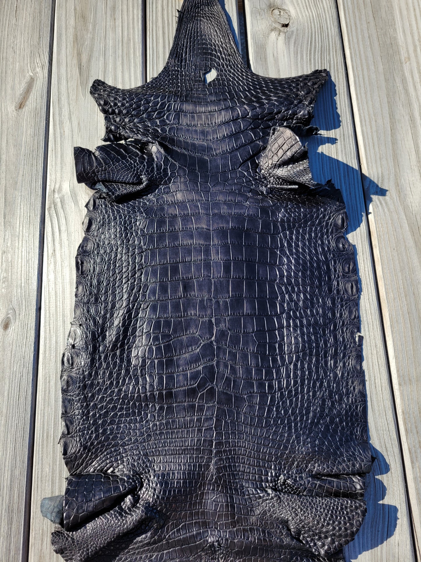 Alligator Skin - 33cm- Grade 3 Black (Matte)