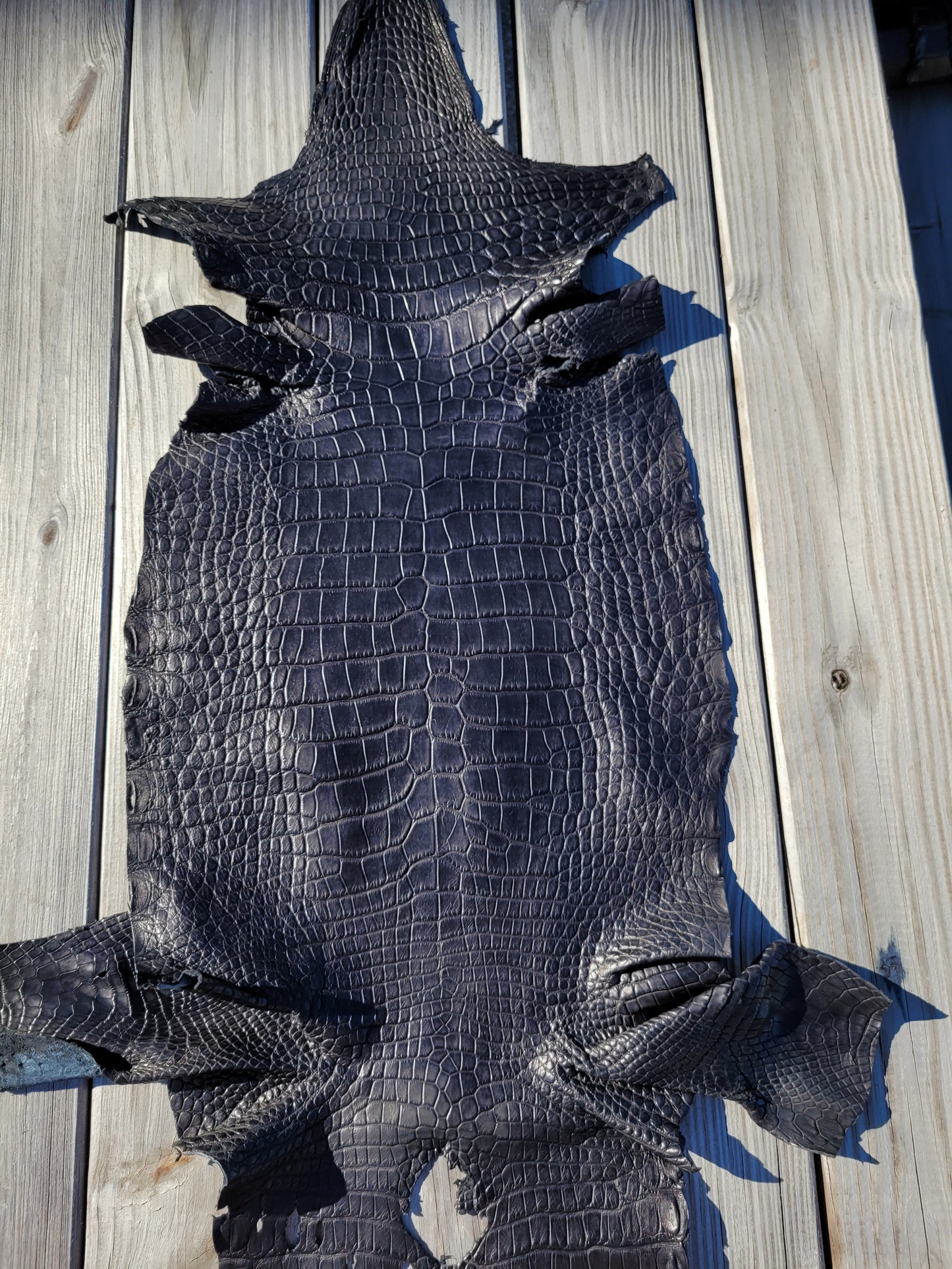 Alligator Skin - 36cm- Grade 2/3 Black (Matte)