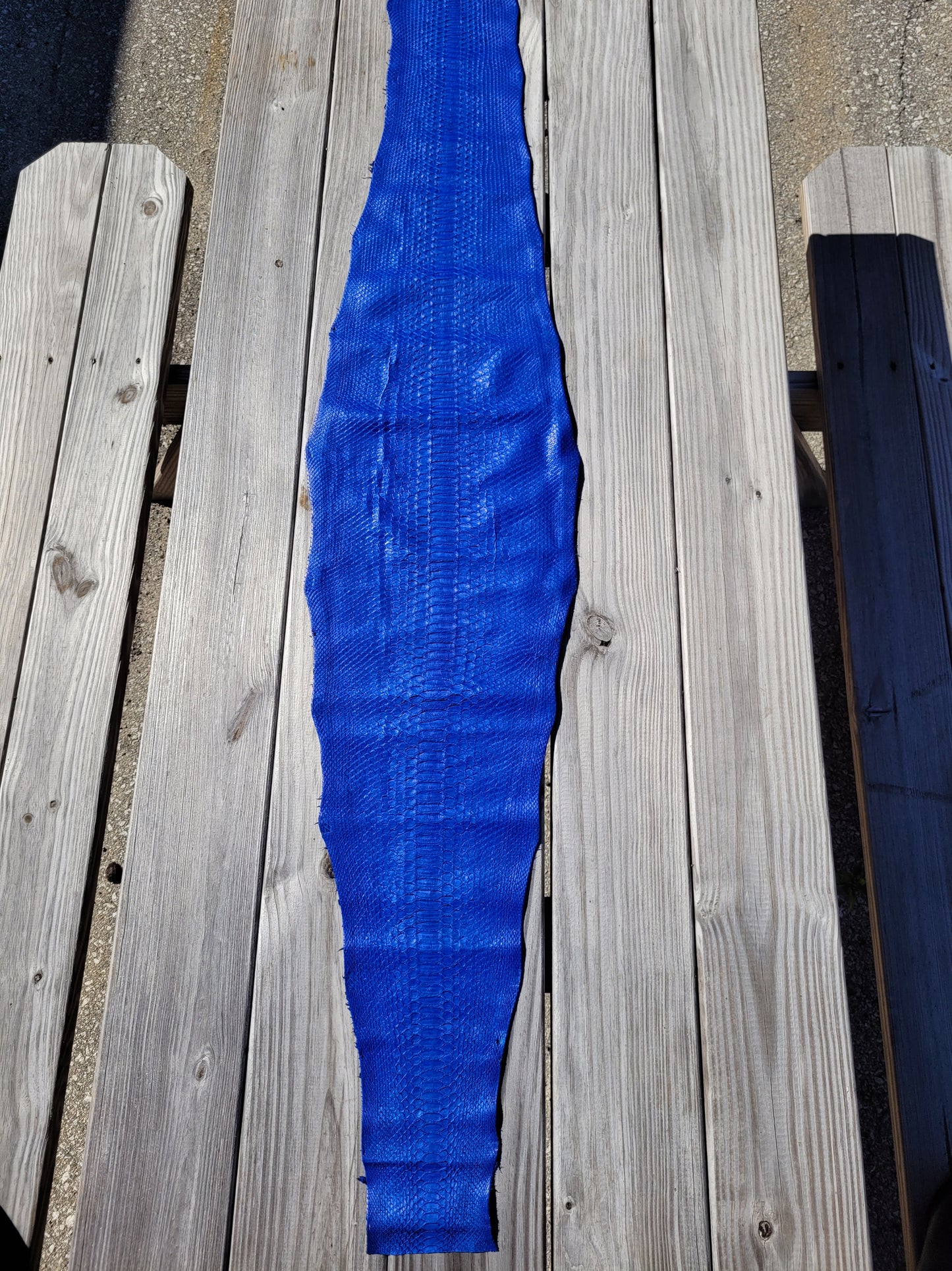 Python Skin - 1.54m - Grade 1 Cobalt Blue (Matte)
