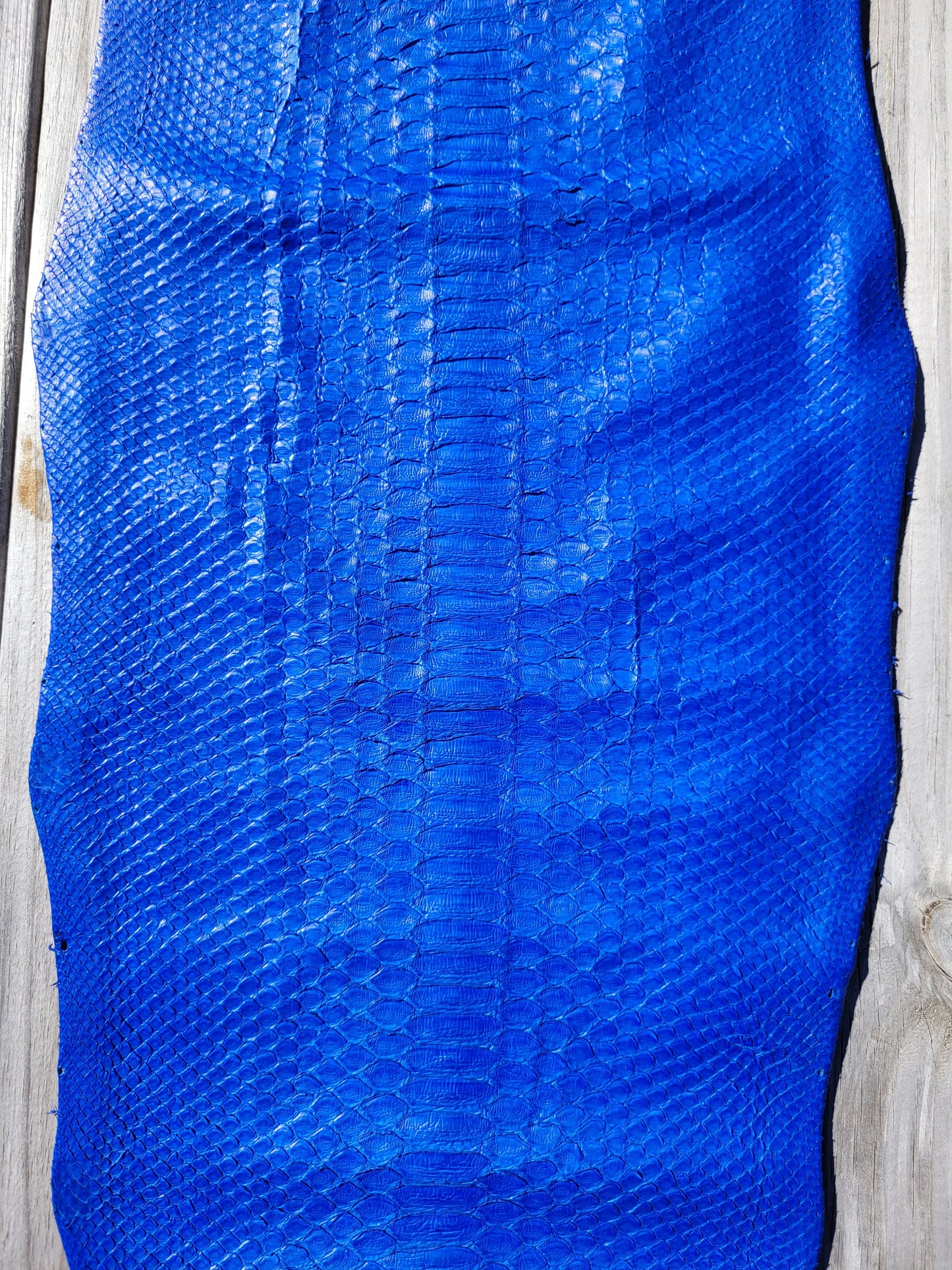 Python Skin - 1.54m - Grade 1 Cobalt Blue (Matte)