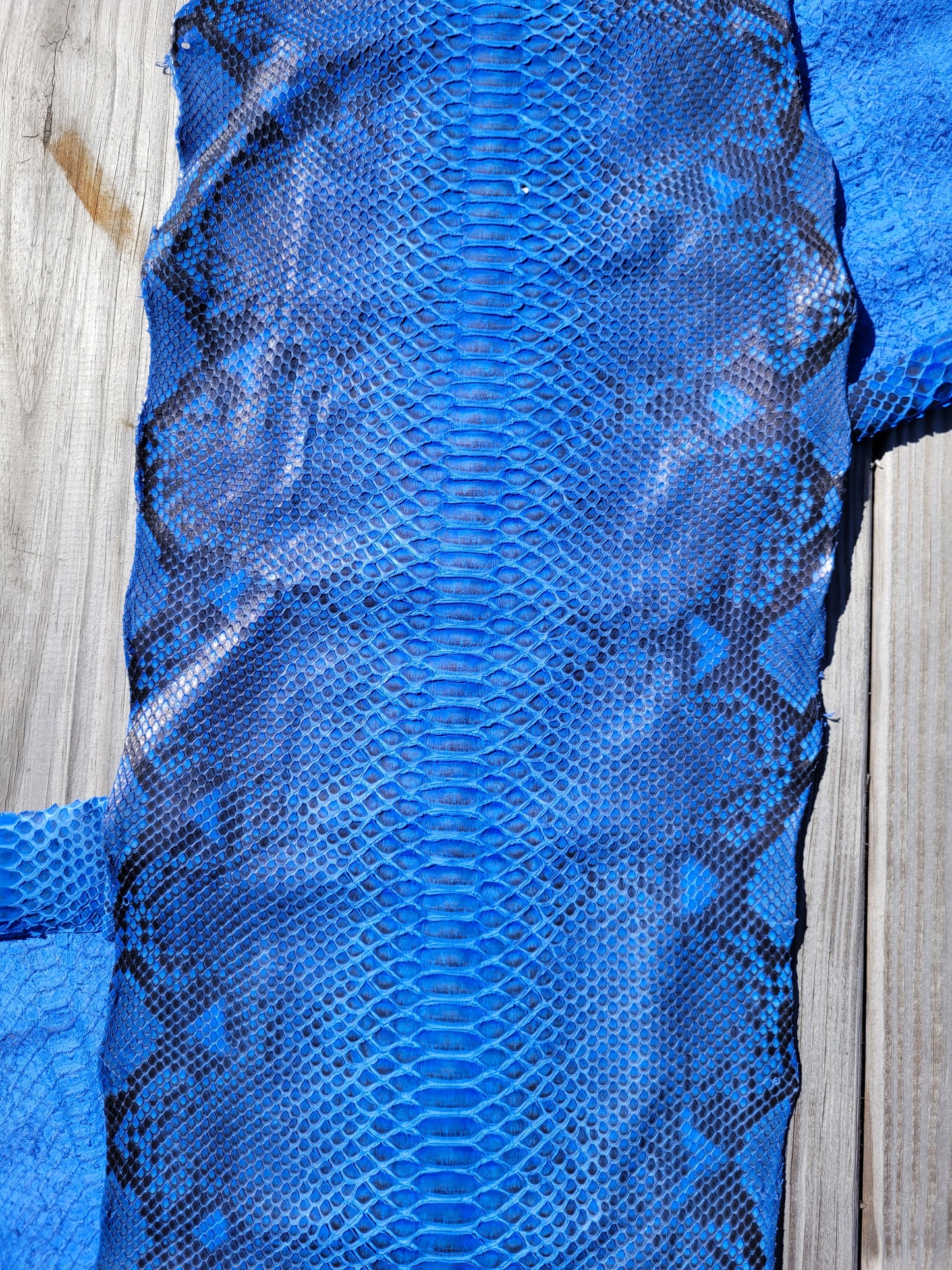 Python Skin - 1.5m (half length) - Grade 1 Natural Blue (Matte)
