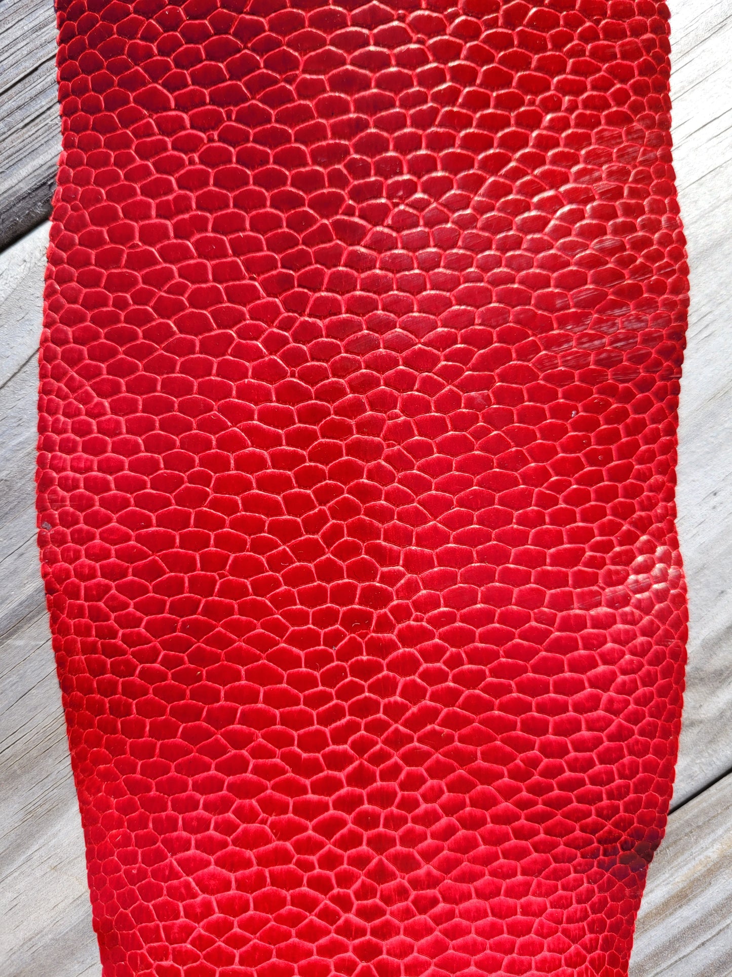 Beaver Tail - Grade 1 Red (Glazed) – Canadian Exotic Leather