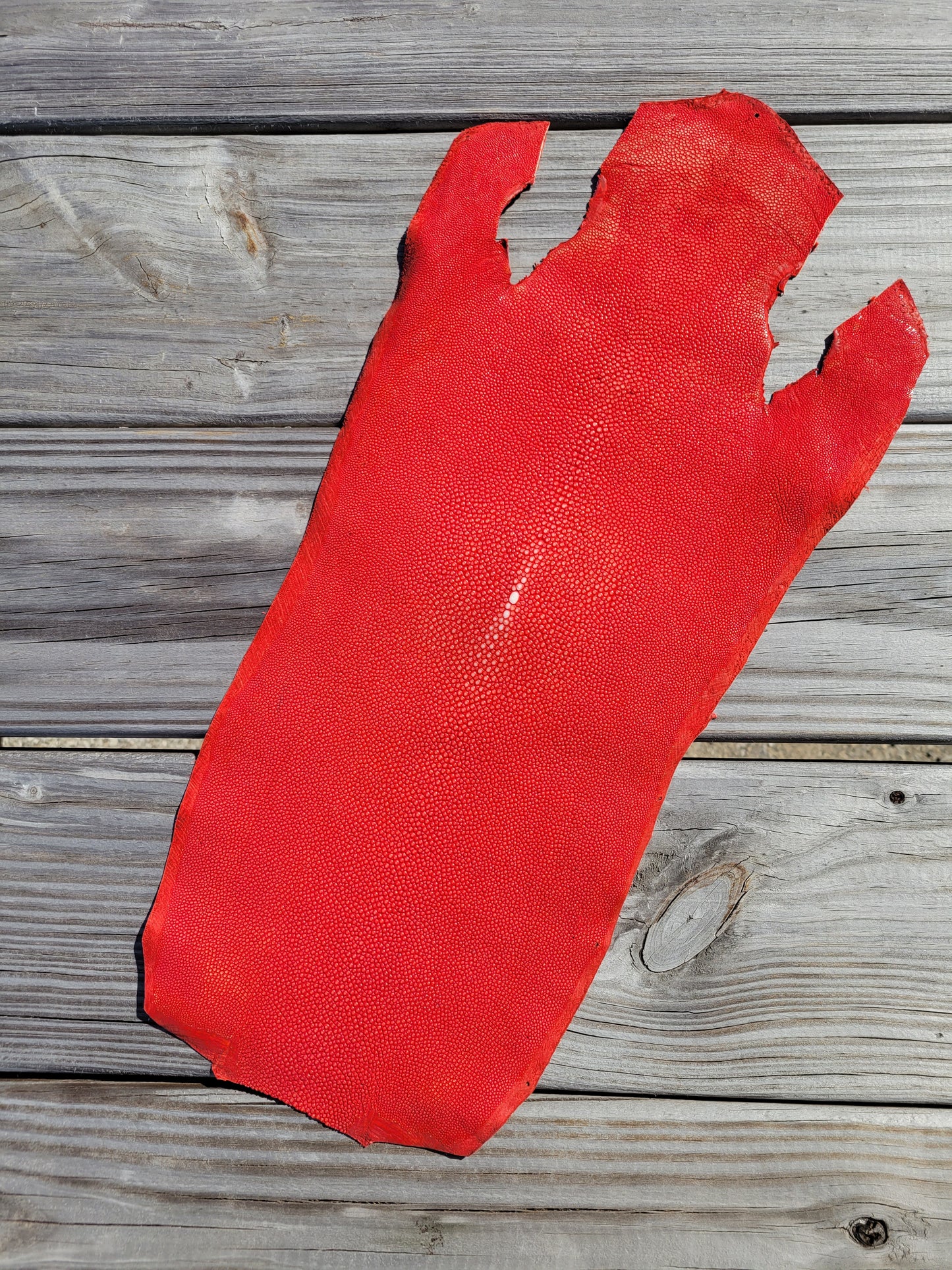 Stingray Leather - Coral Red Polished