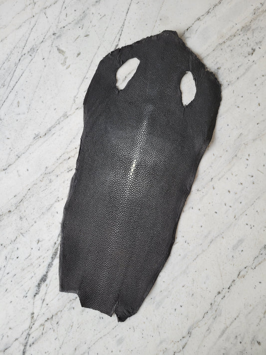Stingray Leather - Black Polished